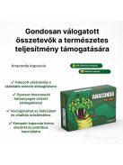 ANACONDA POTENZIALVERBESSERUNGSKAPSELN FÜR MÄNNER – 4 STÜCK