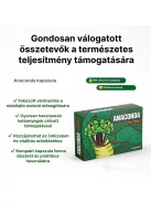 Anaconda potencianövelő kapszula férfiaknak gyors szállítással diszkréten csomagolva - Potenciamarket