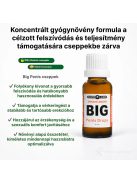 BIG PENIS DROPS PÉNISZNÖVELŐ CSEPPEK - 20 ML