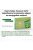 GREEN SNAKE FIRST POTENTIAL ENHANCEMENT CAPSULE (SUCCESSOR OF GREEN SNAKE FORTE) - 4 PCS