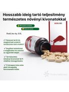 REDLINE BY XXL POWERING EJAKULATIONSVERZÖGERUNGSKAPSELN – 60 STÜCK