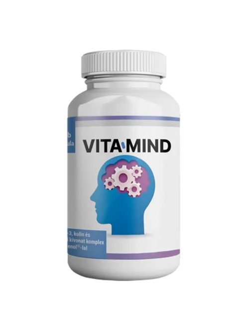 VITAMIND AGYTÁMOGATÓ ÉTRENDKIEGÉSZÍTŐ KAPSZULA - 60 DB