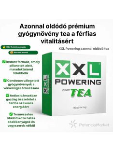 XXL POWERING INSTANT TEA - 10 BAGS / BOX